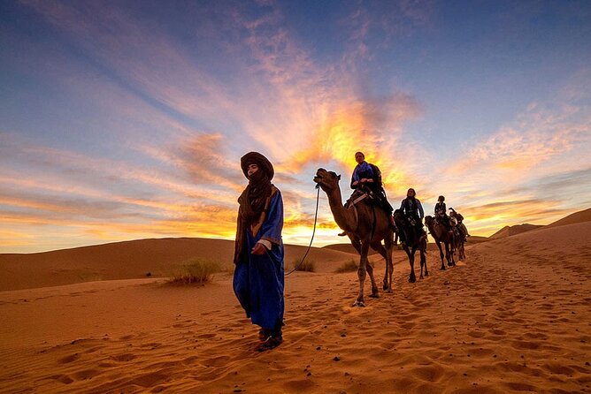 Morocco safari tours